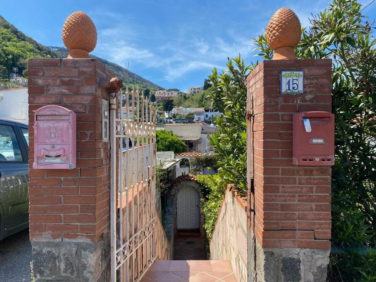 Casa Wanda Villa Ischia Eksteriør billede